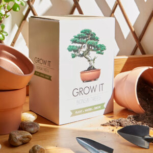 A boxed Grow Your Own Bonsai Tree kit sitting on a wooden table beside terracotta pots, gardening tools, and soil.
