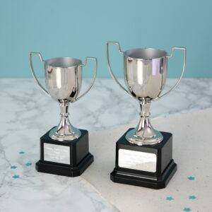 Personalised Engraved Trophy - main product image