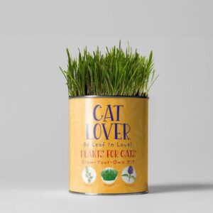 Cat Lovers Eco Grow Your Own Plant Kit - main product image