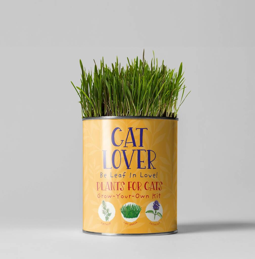 Cat Lovers Eco Grow Your Own Plant Kit - main product image