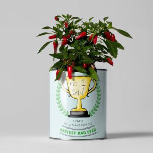'Number One Dad' Eco Grow Your Own Chilli Plants Kit - main product image
