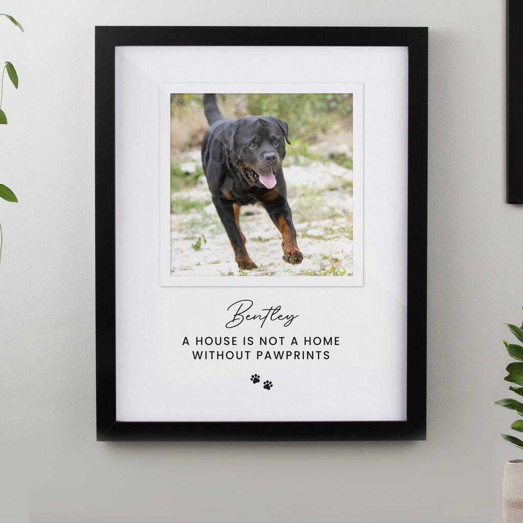 Personalised Pet Framed Print - lifestyle shot