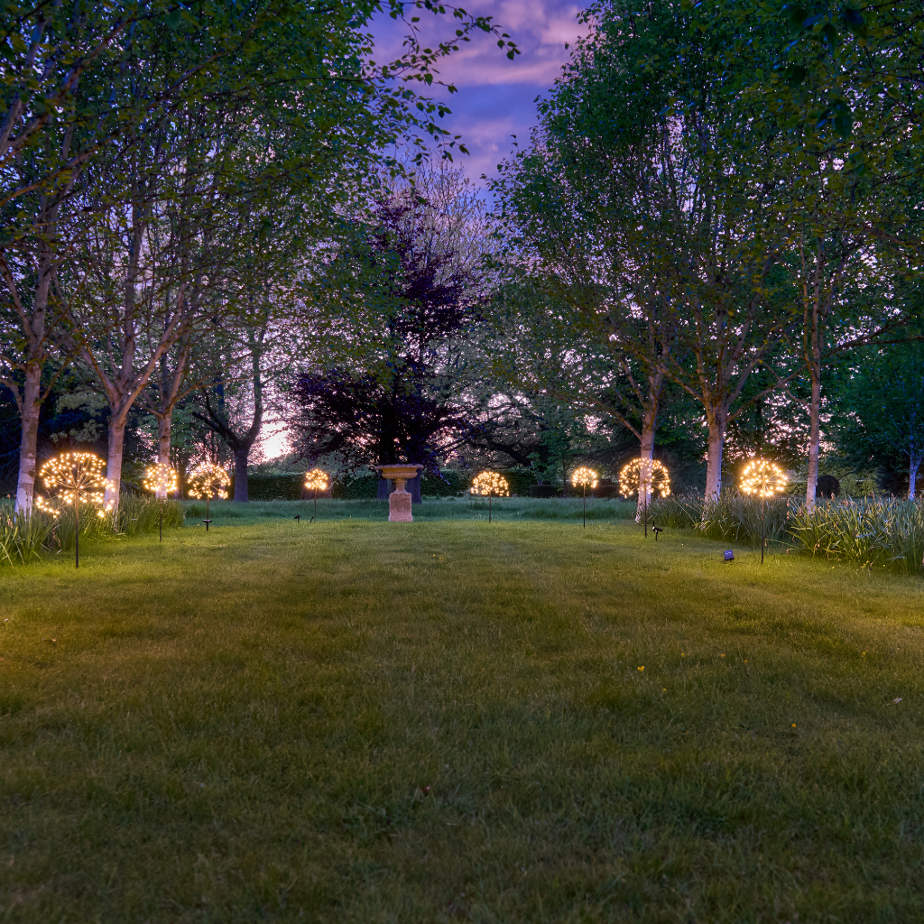 Solar Dandelion Outdoor Stake Light - packaging view
