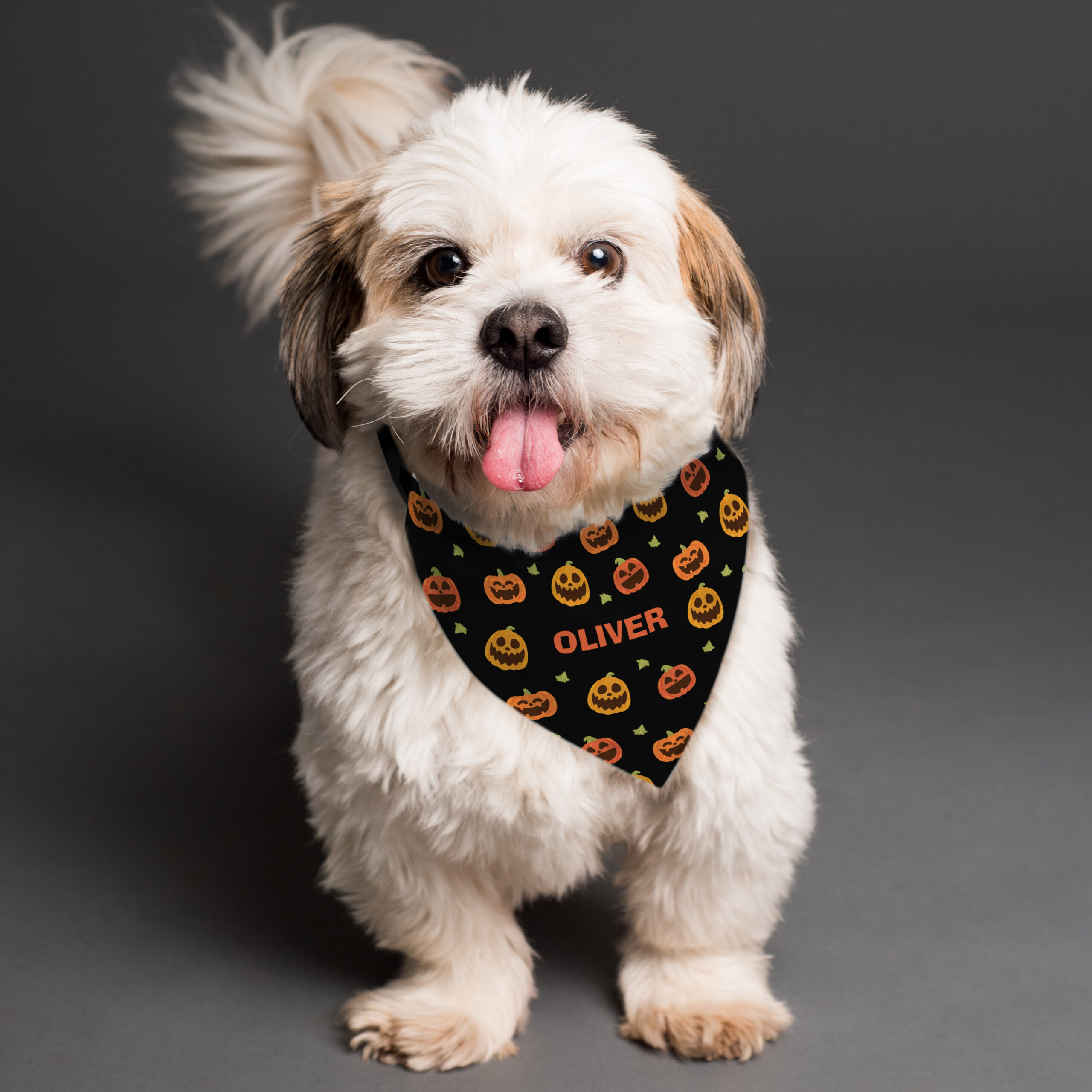 Personalised Pumpkin Dog Bandana - lifestyle shot