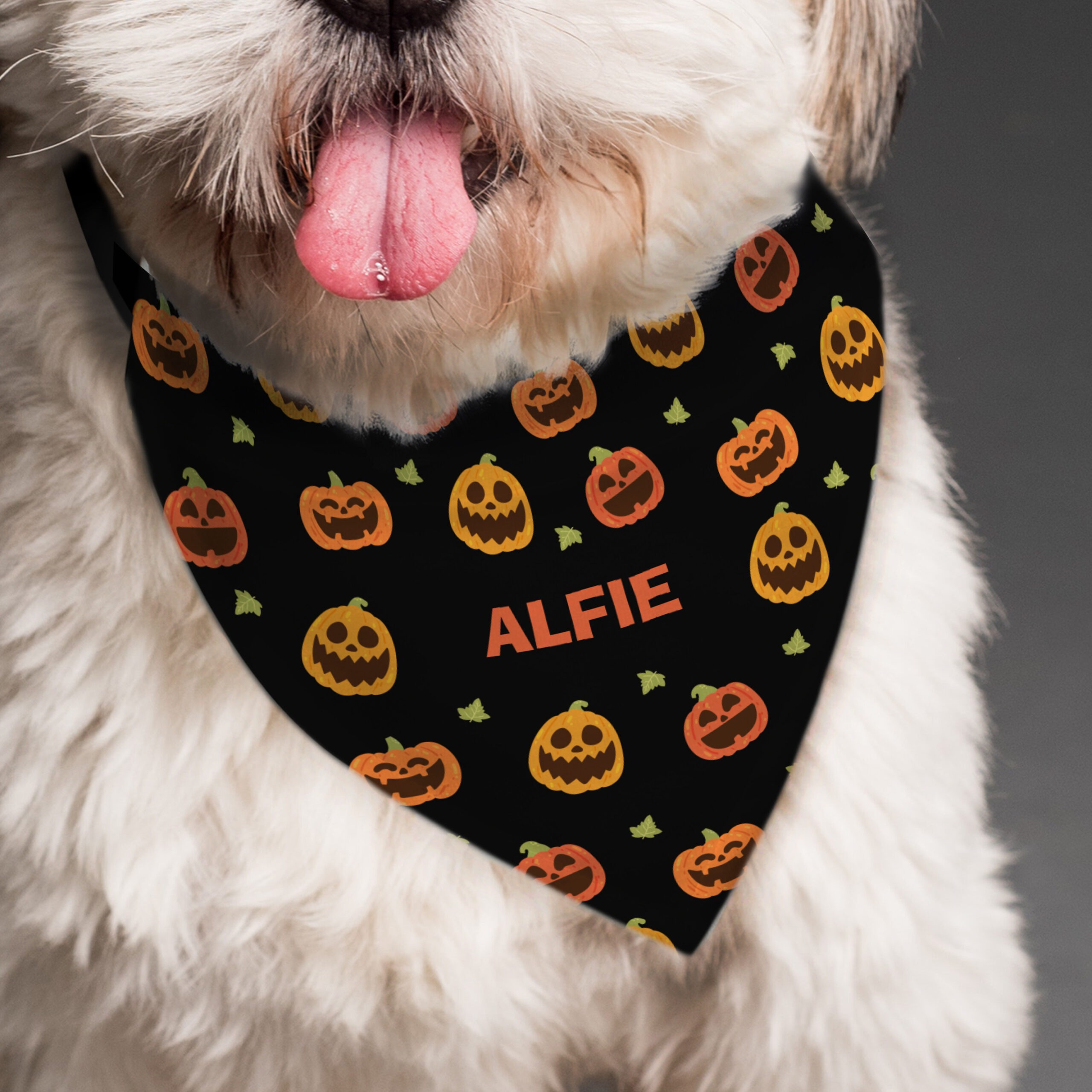 Personalised Pumpkin Dog Bandana - alternative angle