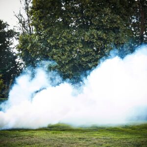 Thick white smoke cloud billowing across a green grass field with lush trees in the background, creating a dramatic atmosphere for outdoor photography.
