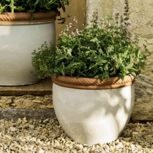A 36cm Lily White ceramic outdoor planter with a twisted terracotta rim, filled with flowering green herbs on a gravel path.