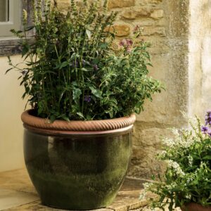 Large 48cm Olive Green ceramic outdoor planter with a glossy finish and twisted terracotta rim holding tall green herbs on a stone patio.