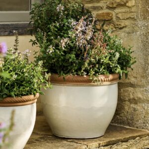 Lily White ceramic outdoor planter with a glossy finish and twisted terracotta rim holding flowering herbs on a stone patio.