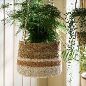 Handwoven seagrass hanging plant pot with a terracotta striped base holding a lush green asparagus fern.