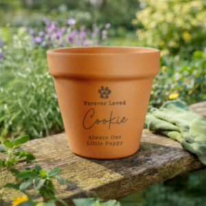 Personalised Pet Memorial Terracotta Plant Pot - Thumbnail 5